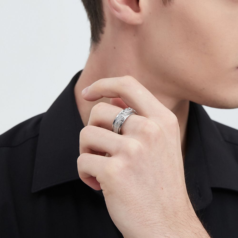 Fidget Dragon Anxiety Ring